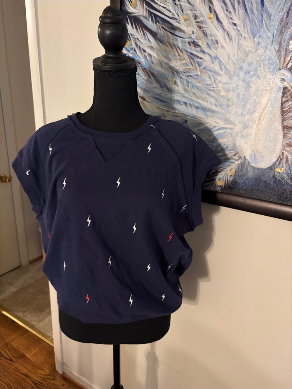 P.J. Salvage Red, White, and Blue Bolt S/S Sweatshirt M